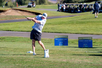 RCB04221 Brian_Hambley_Aristocrat